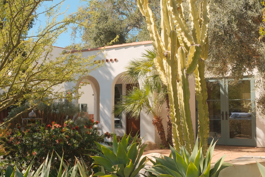 Front garden of a stucco house planted with agave, olive, palm and red-flowering shrubs over bare soil, with no lawn
